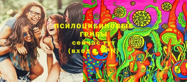 герыч Арсеньев